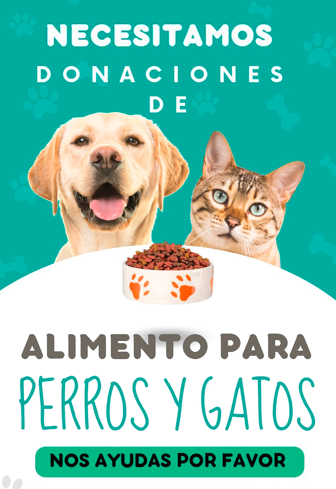 Donación